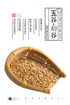 稻谷