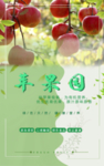 苹果园