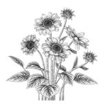 向日葵插画矢量素材