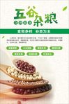 健康膳食海报  五谷杂粮海报