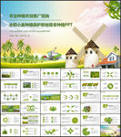 水稻小麦种植保护耕地粮食种植