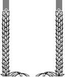 麦穗  花边  稻穗 商标麦穗