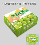 阳光玫瑰葡萄包装设计