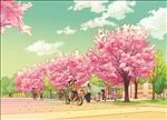 手绘湖北素材樱花大道美景