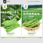 四季豆