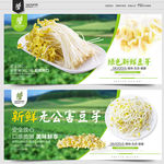 豆芽