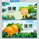 沃柑