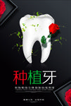 种植牙