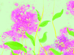 花卉油画