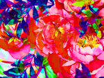 花卉油画