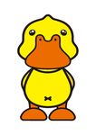 鸭子