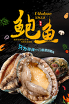 鲍鱼