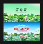 荷花节