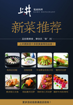 精致日料 菜谱 菜单  刺身寿
