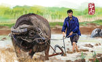 谷雨耕牛高清插图