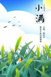 小满 绘画 插画