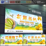 杨桃