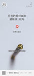 世界无烟日