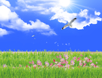 草原蓝天