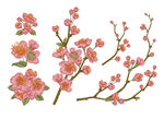 桃花梅花手绘插画