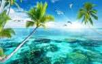 海景风光风景画椰树沙滩背景墙