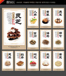 中草药 药材