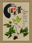 淫羊藿
