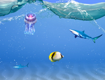 海洋