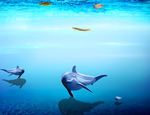 海底世界