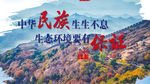 2020环境日宣传海报4