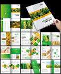 绿色水稻农产品生态农业环保画册