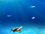 海底