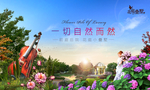 别墅 园林效果图