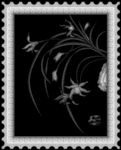 花灰度图