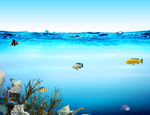 海底