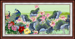 国画荷花