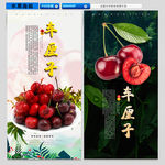车厘子海报