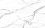 热款高温烧鱼肚白 TIF合层
