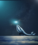 梦幻星空