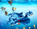 海洋馆