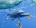 海洋生物