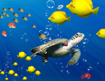 海底世界