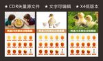 孵化过程图解