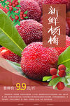 杨梅