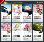 移风易俗