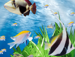 海洋馆