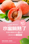 水蜜桃海报 桃子海报 大桃海报