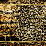 金色鳄鱼皮革