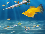 海底生物