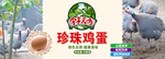 鸡蛋标签